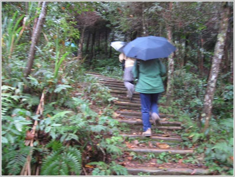 2012-11-17 07-42-56下雨天到加里山登山口試走沒登頂.JPG